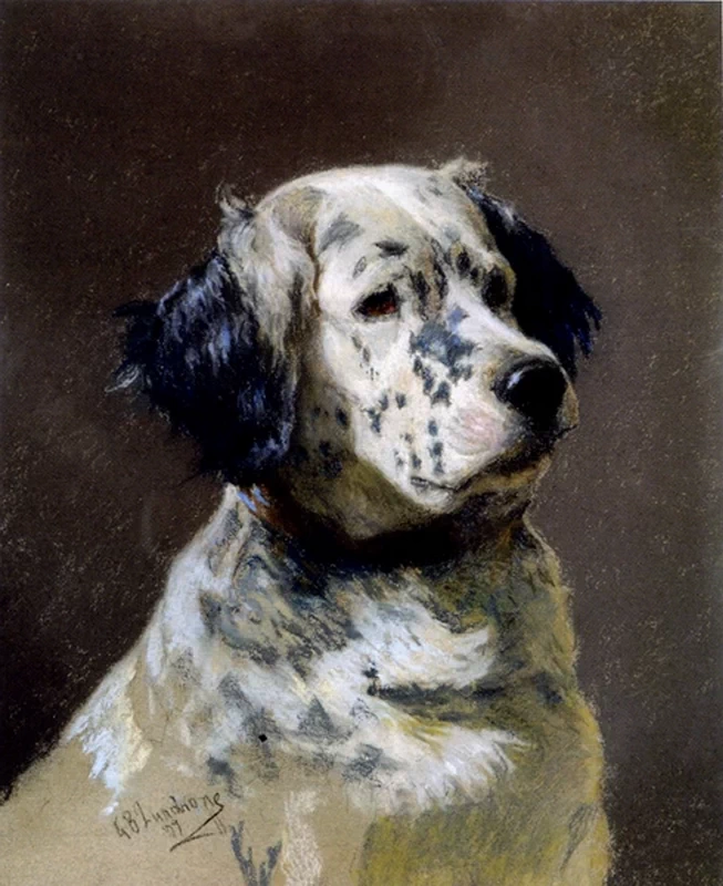 Cane da caccia